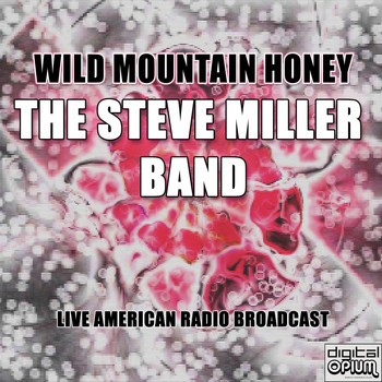 The Steve Miller Band - Wild Mountain Honey (Live)