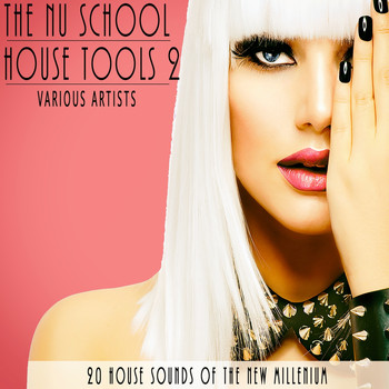 Various Artists - The Nu School House Tools 2