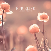John A. Nilson - Fur Elise