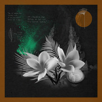 Rosewall, Shyam P - Destiny