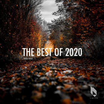 Various Artists - The Best of 2020