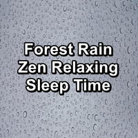Soothing Nature Sounds - Forest Rain Zen Relaxing Sleep Time