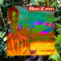 Brizion - Dubwize Meditations Chapter 3