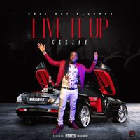 ceejay - Live It Up