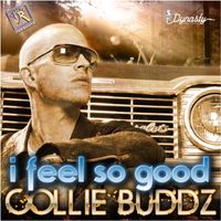 Collie Buddz - I Feel So Good