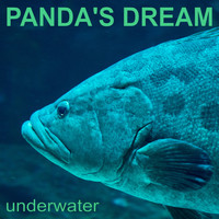 Panda's Dream - Underwater