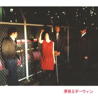 Pachanga - Yumemiru Darwin