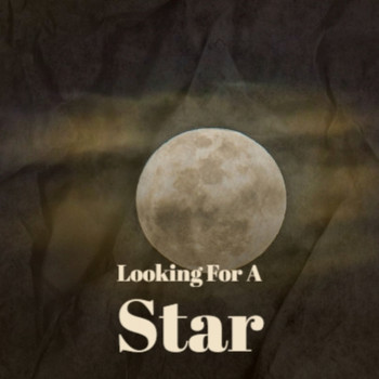 Various Artist - Looking For A Star