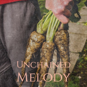 Various Artist - Unchained Melody