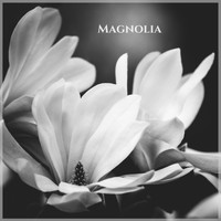 Fleurs de Son - Magnolia