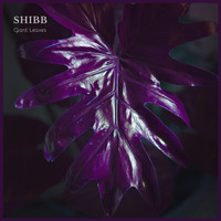 Shibb - Giant Leaves