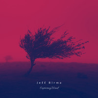 Jeff Birma - Capturing Wind