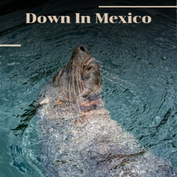 Various Artist - Down In Mexico