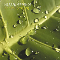 Herbal Essence - Natural Growing