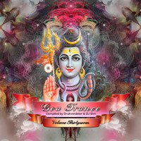 Drukverdeler and DJ Bim - Goa Trance, Vol. 37