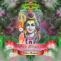 DJ Bim and Drukverdeler - Goa Trance, Vol. 39