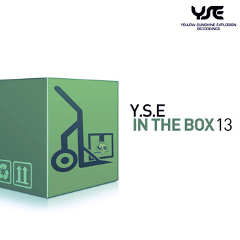 Various Artists - Y.S.E. in the Box, Vol. 13