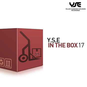 Various Artists - Y.S.E. in the Box, Vol. 17