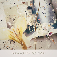 Saeko Seki - Memories Of You