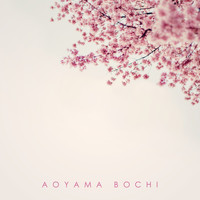 Saeko Seki - Aoyama Bochi