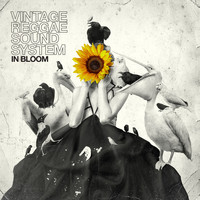Vintage Reggae Soundsystem - In Bloom