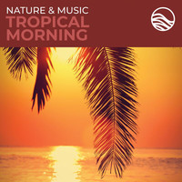David Arkenstone - Nature & Music: Tropical Morning