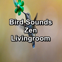 Animal and Bird Songs - Bird Sounds Zen Livingroom 