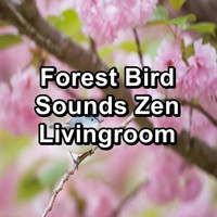 Spa & Spa - Forest Bird Sounds Zen Livingroom