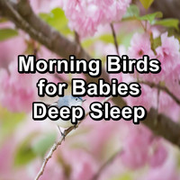 Singing Birds - Morning Birds for Babies Deep Sleep