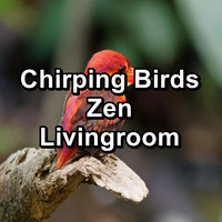 Bird - Chirping Birds Zen Livingroom