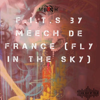Meech De France - F.I.T.S