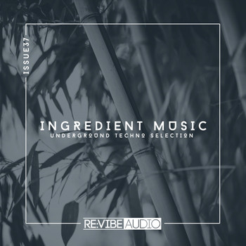 Various Artists - Ingredient Music, Vol. 37