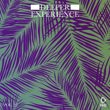 Various Artists - Deeper Experience, Vol. 27