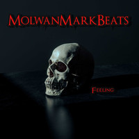 MolwanMarkBeats / - Feeling
