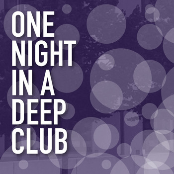 Various Artists - One Night in a Deep Club