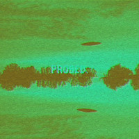 Richard S - Probed