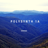 Peter Gallagher - Polysynth 1a