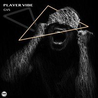 Player Vibe - GVS