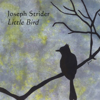 Joseph Strider - Little Bird