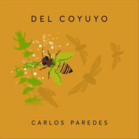 Carlos Paredes - Del Coyuyo