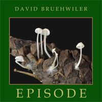 David Bruehwiler - Episode