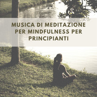 Pura Meditazione Stress - Musica di meditazione per mindfulness per principianti