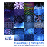 Steve Kornicki - Transformations and Manipulations