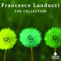 Francesco Landucci - The collection