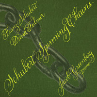 Jacob Greenberg - Schubert Spinning Chains
