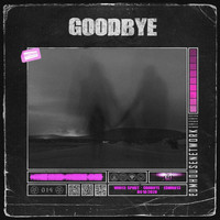 White Spirit - Goodbye