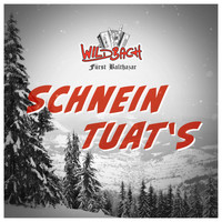 Wildbach - Schnein Tuat's