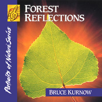 Bruce Kurnow - Forest Reflections