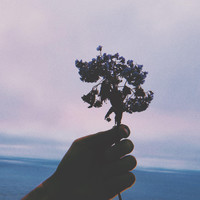Rossy - flowers