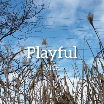 Mich - Playful
